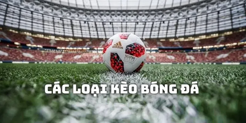 cac loai keo trong bong da ava