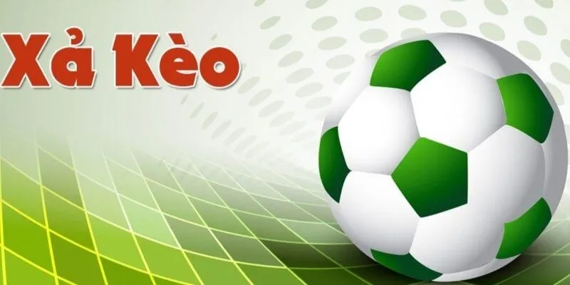 Hướng Dẫn Cách Huỷ Vé Cược Thể Thao Nhanh, Chính Xác 1 huong dan cach huy ve cuoc the thao 3