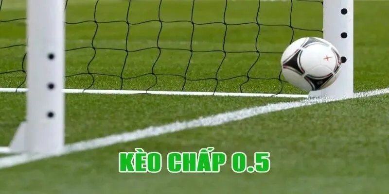 Kèo Chấp Nửa Trái - Chia Sẻ Bí Kíp Chinh Phục Chiến Thắng 7 keo chap nua trai ava