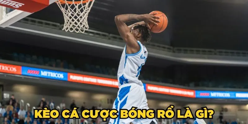 Vì sao nên theo dõi tỷ lệ bóng rổ trên Nowgoal?